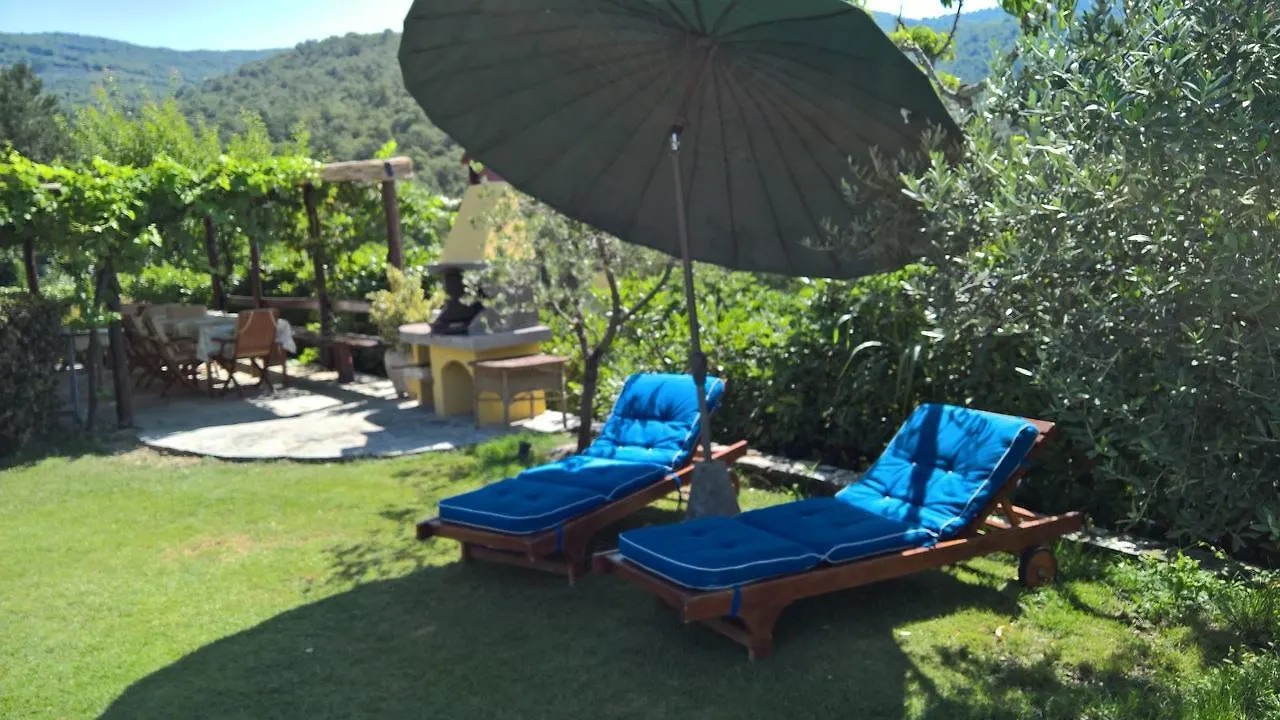 Bed & Breakfast Villamato Arezzo